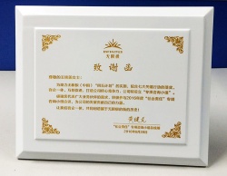 【無限極】企業(yè)團(tuán)隊(duì)獎牌定制案例